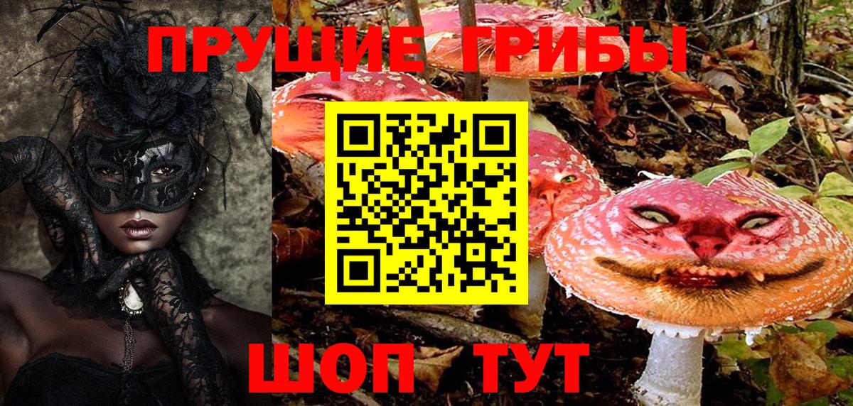 Галлюциногенные грибы MAGIC MUSHROOMS Волхов