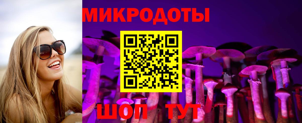 Галлюциногенные грибы GOLDEN TEACHER  Вход с VPN  Волхов 